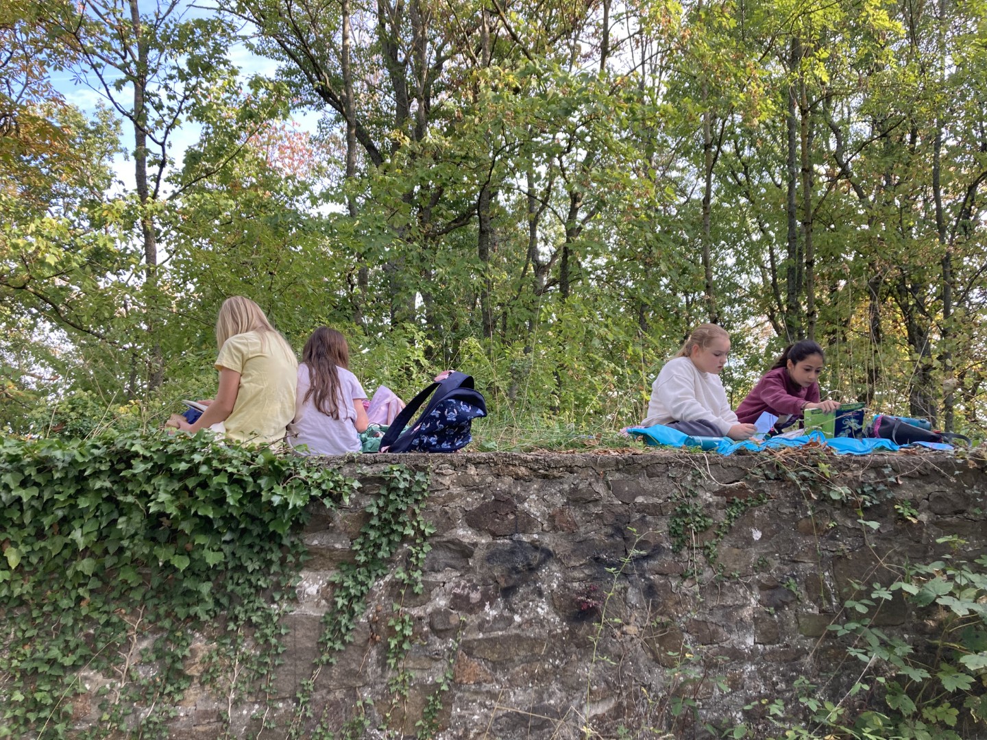Projektwoche der Klasse 3P3 zur Buchreihe „Das magische Baumhaus“ - Eine magische Reise durch die Welt der Bücher